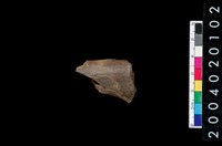 藏品(獸骨殘片)的圖片