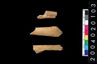 藏品(獸骨殘片)的圖片