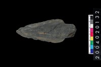 藏品(矛鏃)的圖片