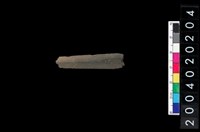 藏品(矛鏃)的圖片