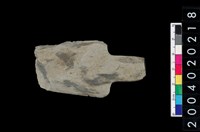 藏品(矛鏃)的圖片