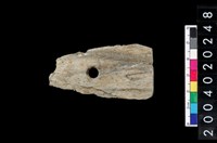 藏品(矛鏃)的圖片