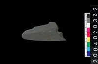 藏品(矛鏃)的圖片