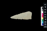 藏品(矛鏃)的圖片