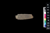 藏品(矛鏃)的圖片