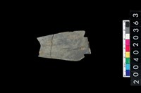 藏品(矛鏃)的圖片