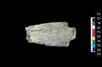 藏品(矛鏃)的圖片