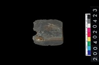 藏品(矛鏃)的圖片