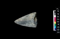 藏品(矛鏃)的圖片