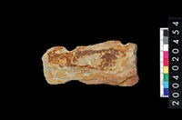 藏品(矛鏃)的圖片