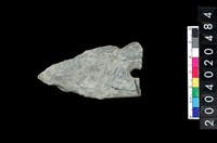 藏品(矛鏃)的圖片