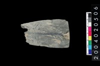 藏品(矛鏃)的圖片