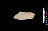 藏品(矛鏃)的圖片