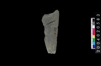 藏品(石鐮)的圖片