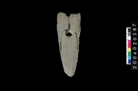 藏品(不明石器)的圖片