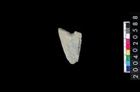 藏品(石刀)的圖片