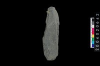 藏品(石刀)的圖片