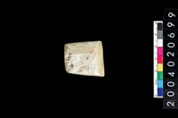 藏品(玉錛)的圖片