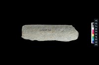 藏品(石杵)的圖片