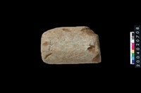 藏品(石杵)的圖片