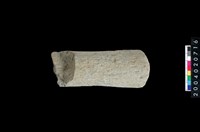 藏品(石杵)的圖片