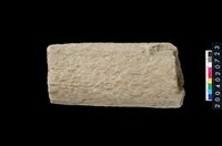 藏品(石杵)的圖片