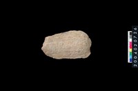 藏品(石杵)的圖片