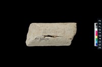 藏品(石杵)的圖片