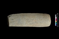 藏品(石杵)的圖片