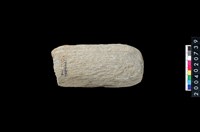 藏品(石杵)的圖片