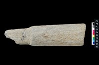 藏品(石杵)的圖片