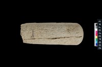 藏品(石杵)的圖片