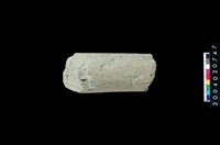 藏品(石杵)的圖片