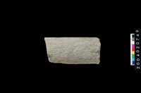 藏品(石杵)的圖片