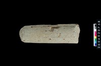 藏品(石杵)的圖片