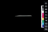 藏品(石錐)的圖片