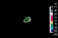 藏品(玉器廢料)的圖片