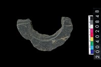 藏品(石環)的圖片