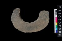 藏品(石環)的圖片