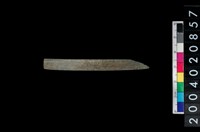 藏品(石環)的圖片