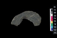 藏品(石環)的圖片