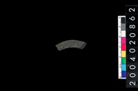 藏品(石環)的圖片