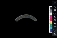 藏品(石環)的圖片