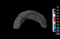 藏品(石環)的圖片