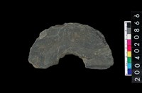 藏品(石環)的圖片