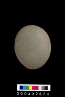 藏品(石錘)的圖片