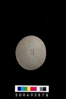 藏品(石錘)的圖片