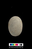 藏品(石錘)的圖片