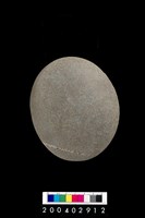 藏品(石錘)的圖片