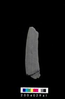 藏品(石鐮)的圖片